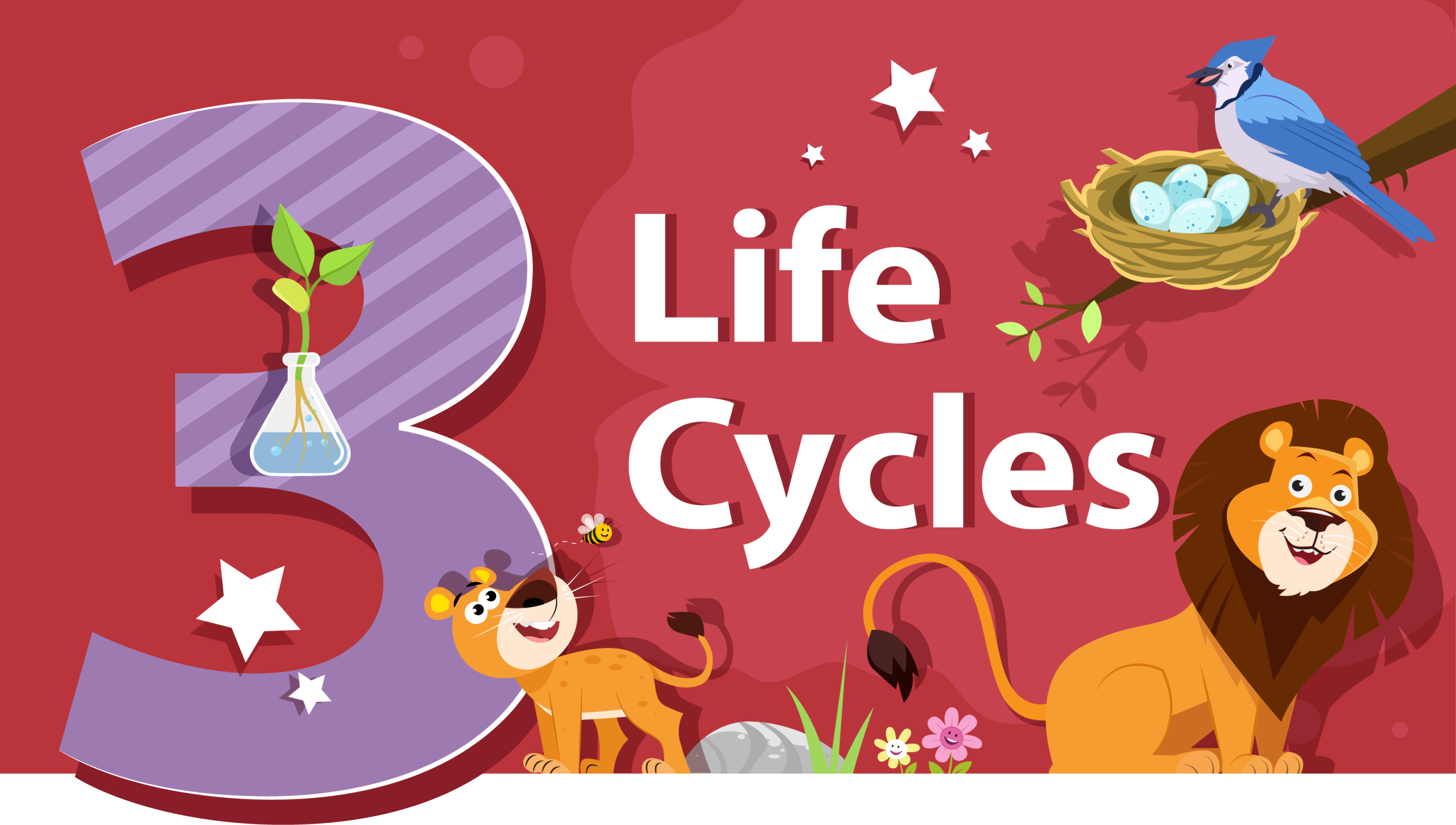 [Life Cycles][Engagement 4][Lesson 14][Mystery Sentence][Grade 3][Life Science]